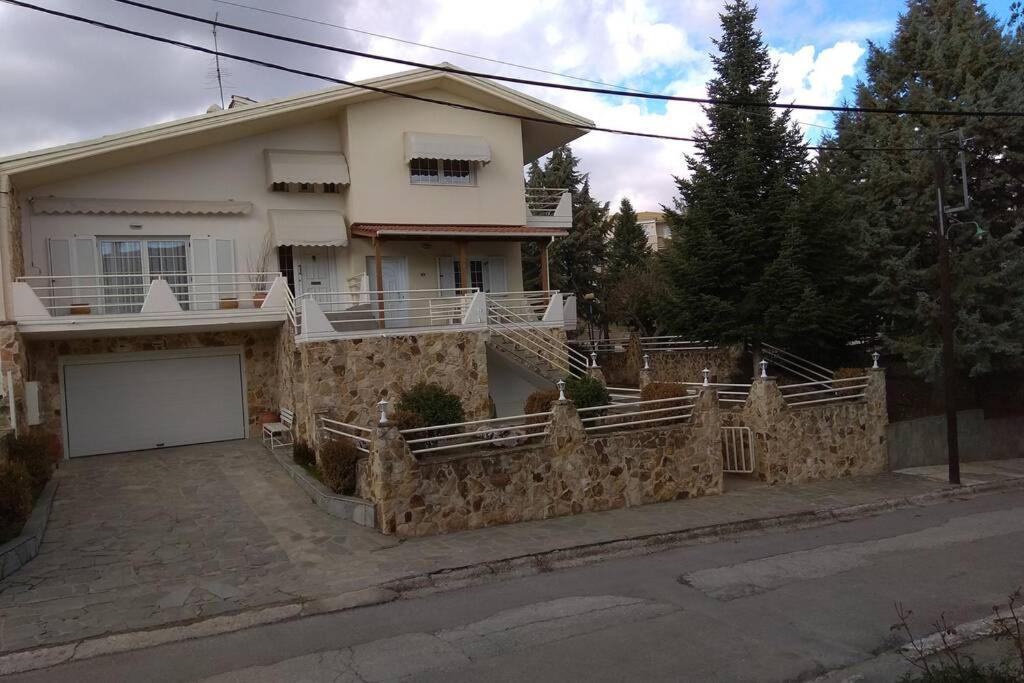 The Stone House Apartman Kozáni Kültér fotó