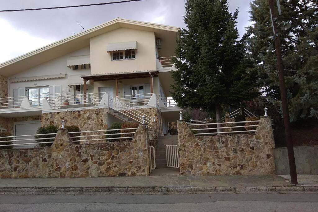 The Stone House Apartman Kozáni Kültér fotó